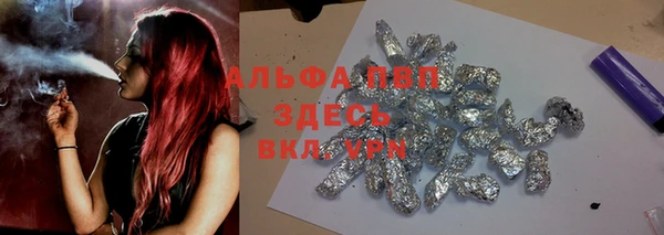 гидра Арсеньев