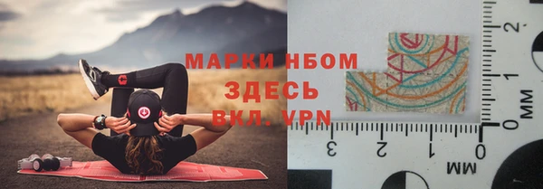 гидра Арсеньев
