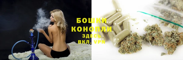 гидра Арсеньев