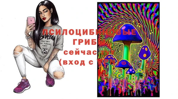 гидра Арсеньев