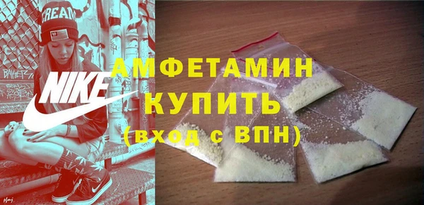 гидра Арсеньев