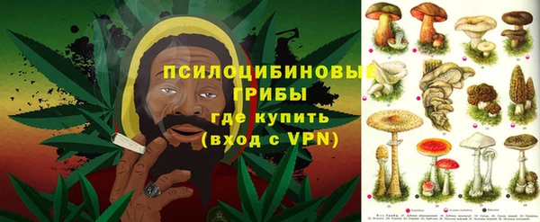 гидра Арсеньев