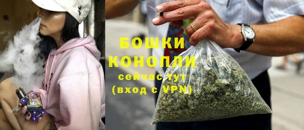 гидра Арсеньев