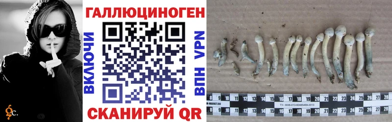 Псилоцибиновые грибы ЛСД  Нижняя Салда 